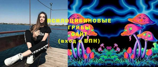 ПСИЛОЦИБИНОВЫЕ ГРИБЫ Нея