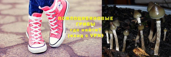 ПСИЛОЦИБИНОВЫЕ ГРИБЫ Нея