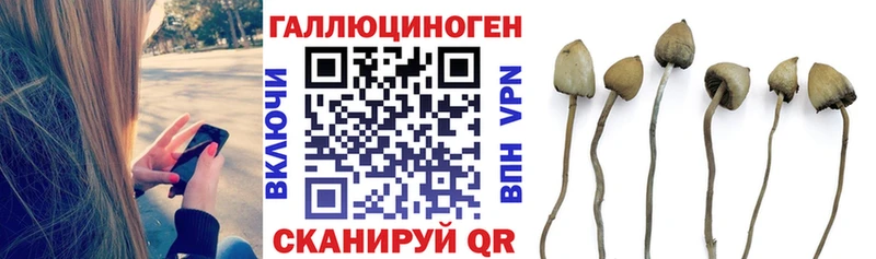 Псилоцибиновые грибы GOLDEN TEACHER  Купить закладки  Вятские Поляны 